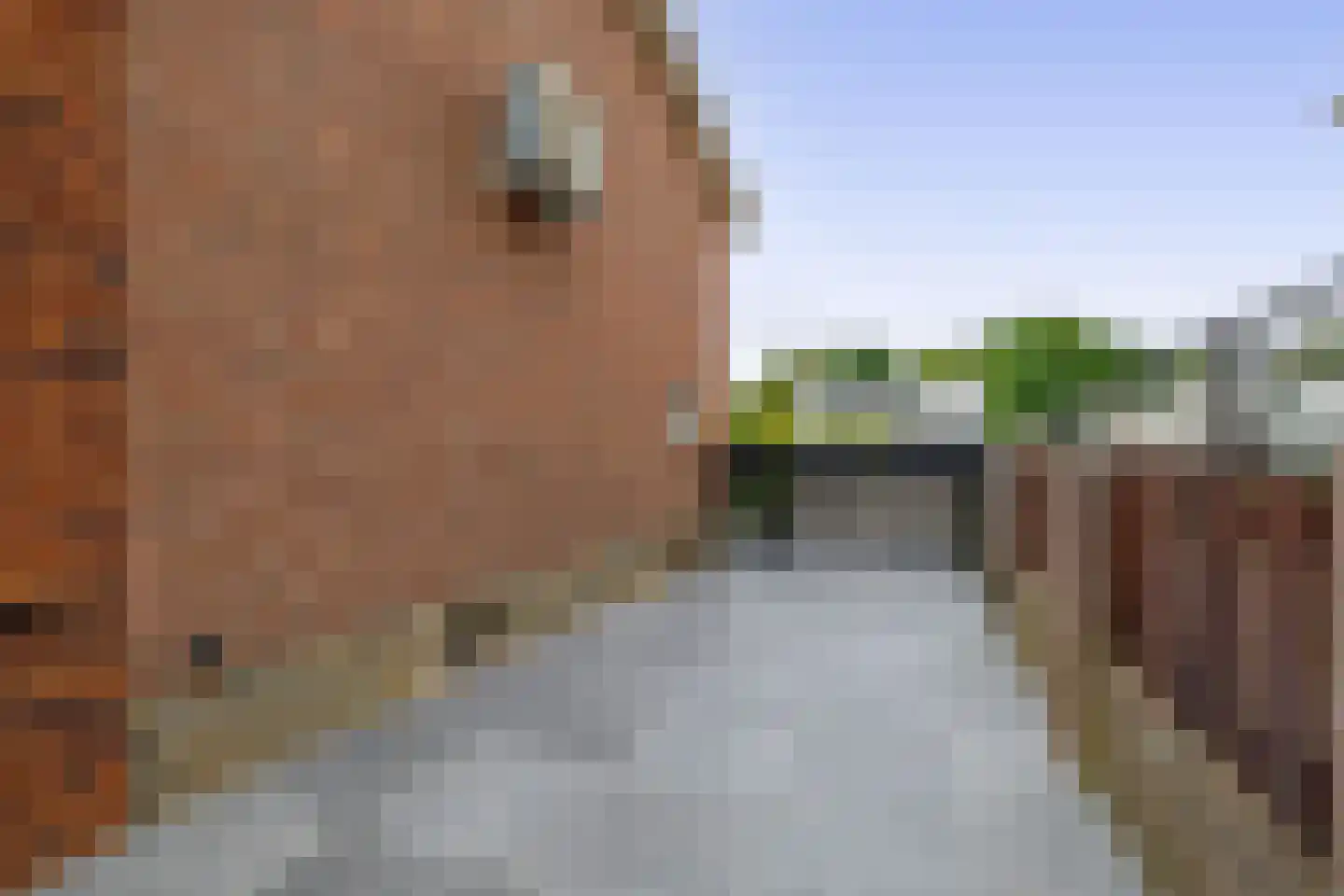 Pastoor Stassenstraat 54 Venlo thumbnail 42