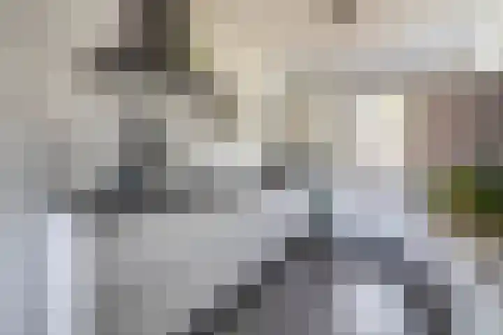 Pastoor Stassenstraat 68 Venlo thumbnail 7
