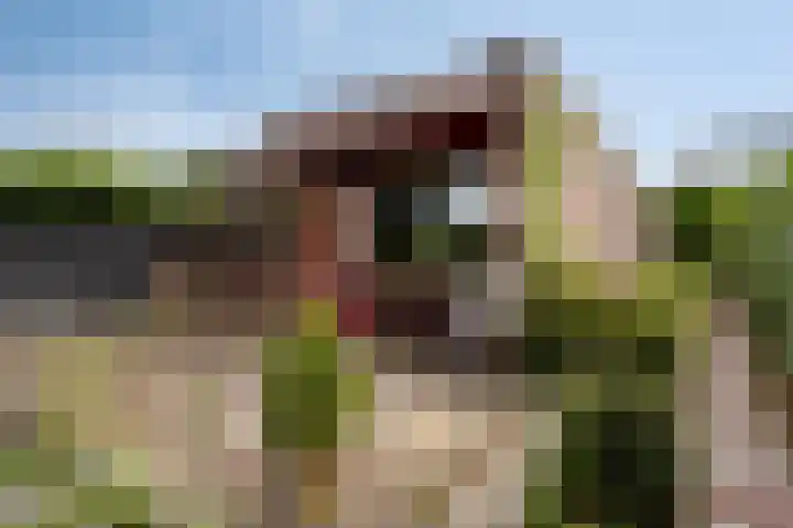 Pastoor Steinbuschstraat 11 Wijlre thumbnail 15