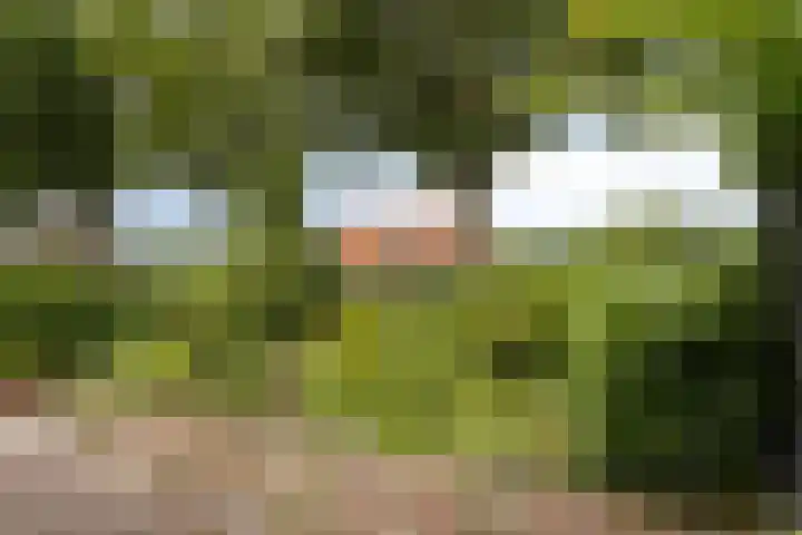 Pastoor Steinbuschstraat 11 Wijlre thumbnail 16