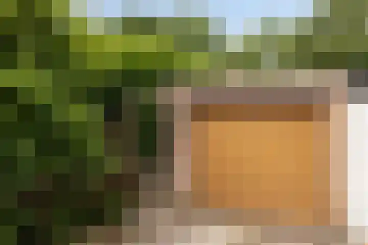 Pastoor Steinbuschstraat 11 Wijlre thumbnail 21