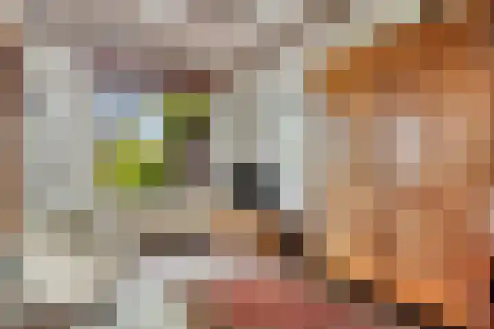 Pastoor Steinbuschstraat 11 Wijlre thumbnail 6