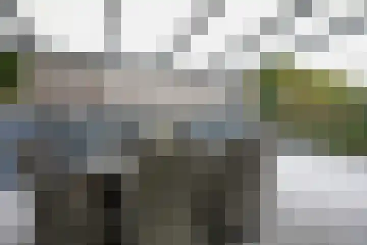 Pastoor Steinbuschstraat 16 Wijlre thumbnail 9