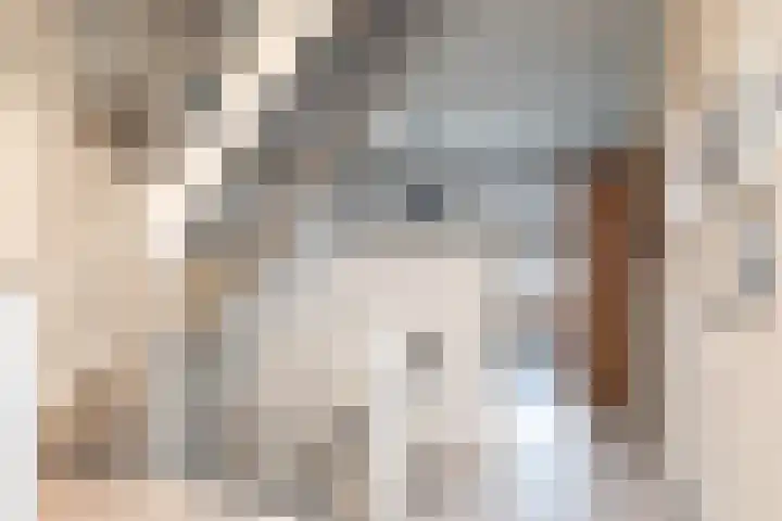 Pastoor Steinbuschstraat 24 Wijlre thumbnail 13