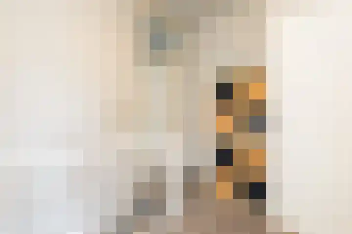 Pastoor Steinbuschstraat 24 Wijlre thumbnail 14