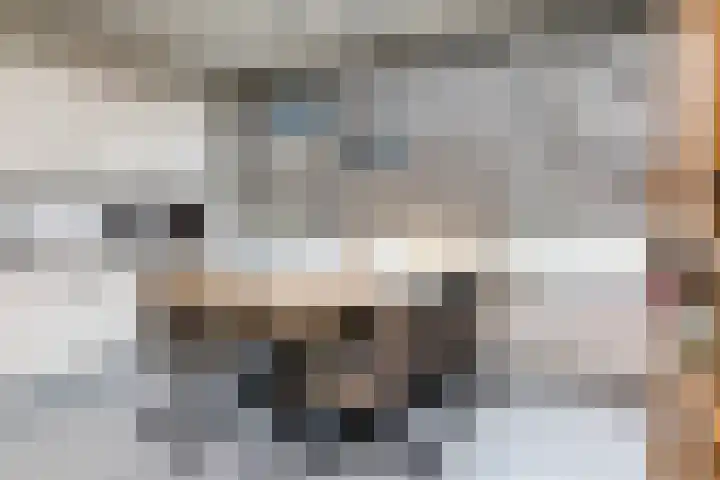 Pastoor Steinbuschstraat 24 Wijlre thumbnail 7