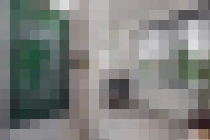Pastoor Suidgeeststraat 10 Venhuizen thumbnail 27
