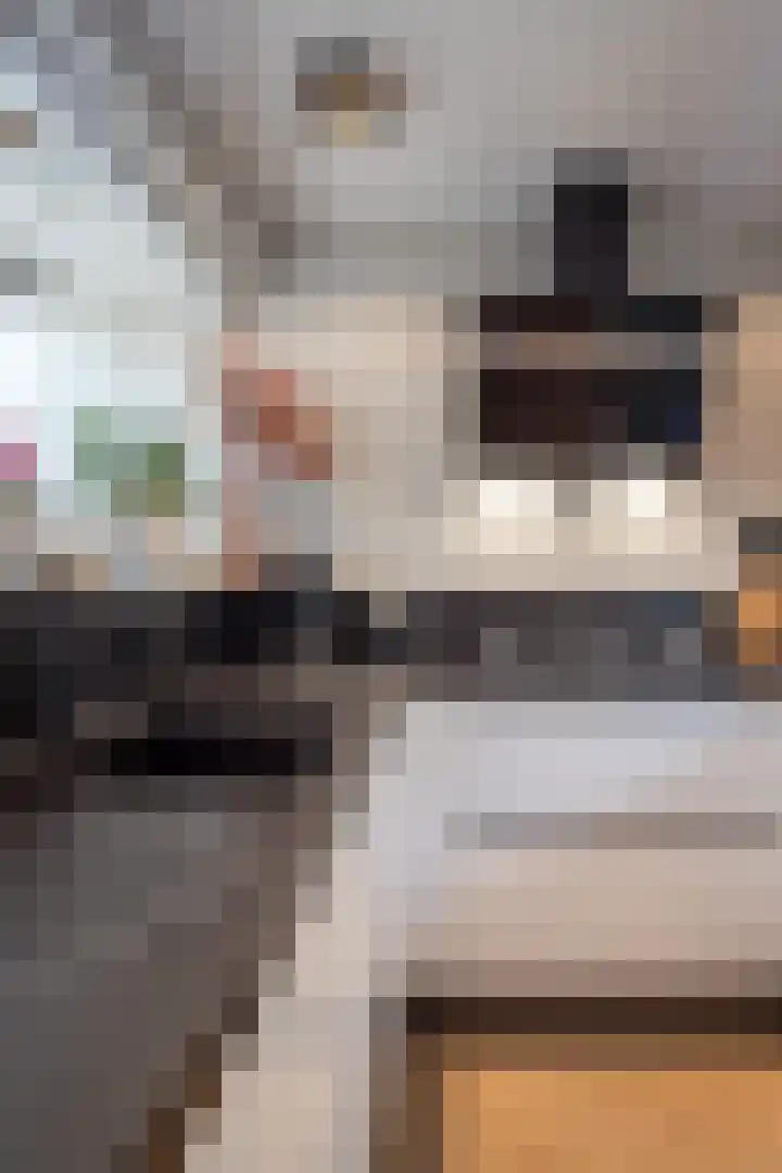 Pastoor Suidgeeststraat 10 Venhuizen thumbnail 42