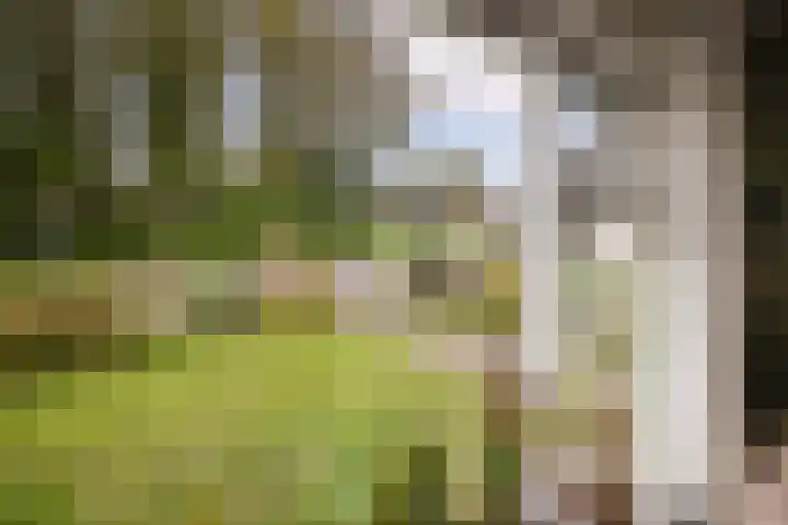 Pastoor Suidgeeststraat 6 Venhuizen thumbnail 19