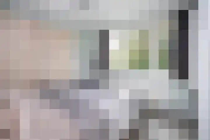 Pastoor Suidgeeststraat 6 Venhuizen thumbnail 26