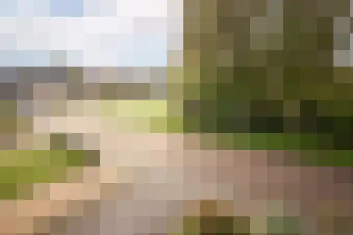 Pastoor Suidgeeststraat 6 Venhuizen thumbnail 28