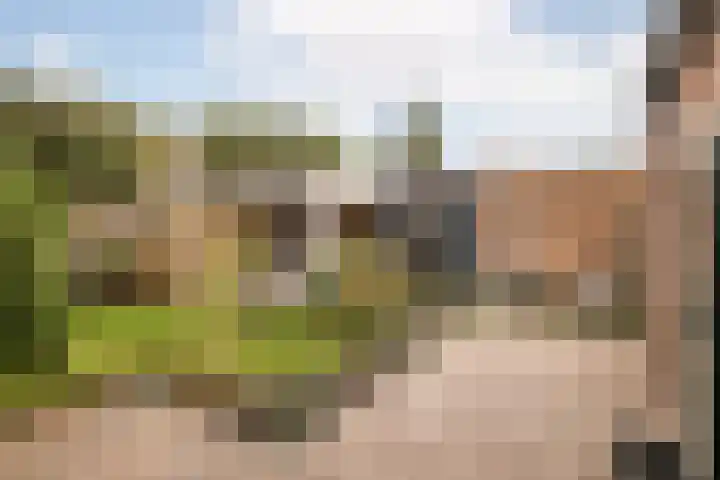 Pastoor Suidgeeststraat 6 Venhuizen thumbnail 32