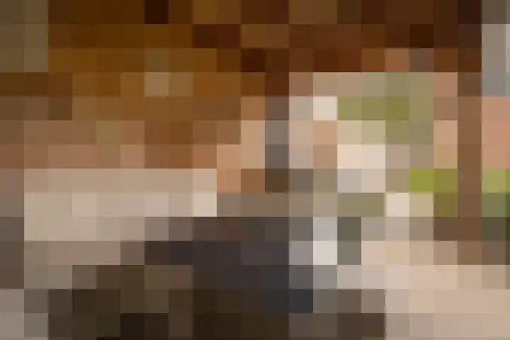 Pastoor Suidgeeststraat 6 Venhuizen thumbnail 34