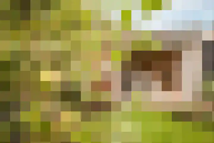 Pastoor Suidgeeststraat 6 Venhuizen thumbnail 37