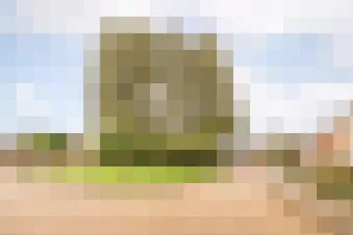 Pastoor Suidgeeststraat 6 Venhuizen thumbnail 41