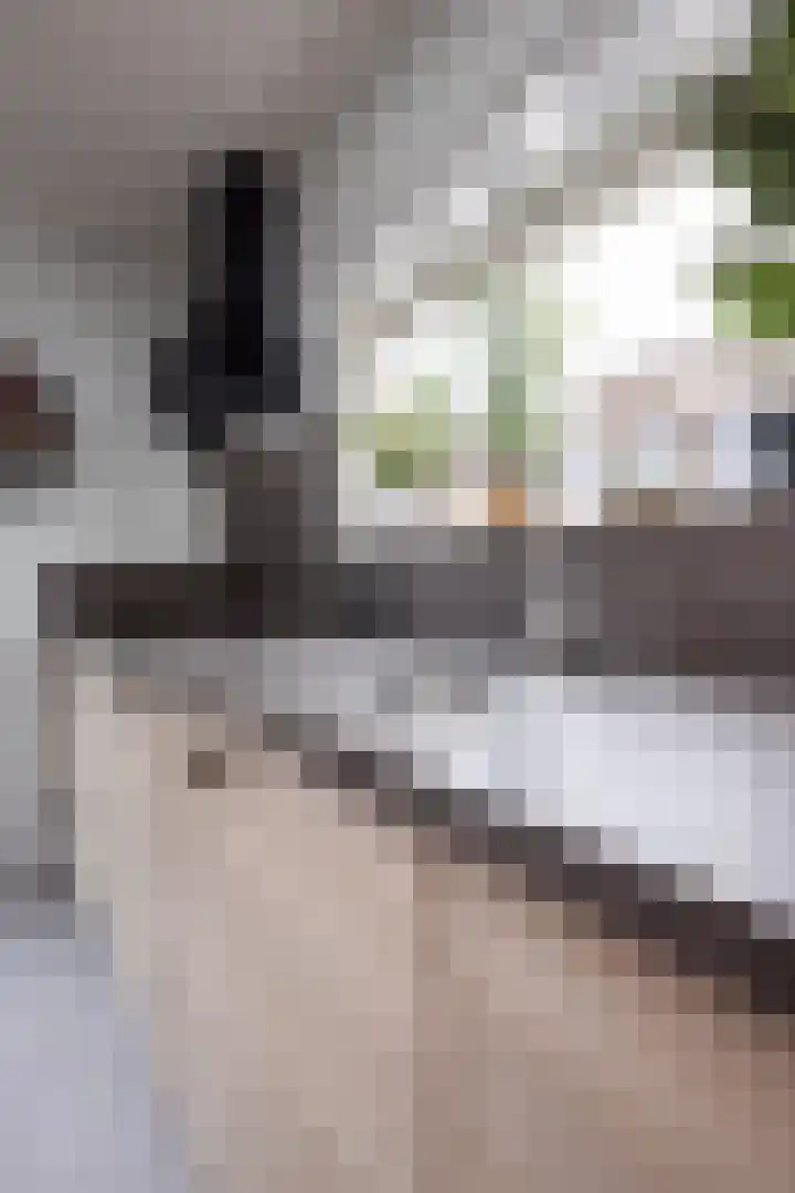 Pastoor Suidgeeststraat 6 Venhuizen thumbnail 46