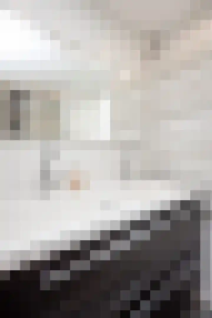 Pastoor Suidgeeststraat 6 Venhuizen thumbnail 49