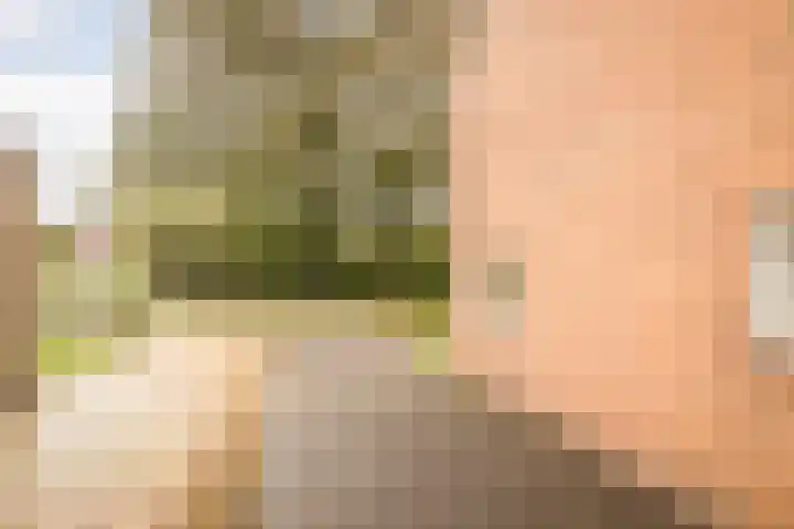 Pastoor Suidgeeststraat 6 Venhuizen thumbnail 6