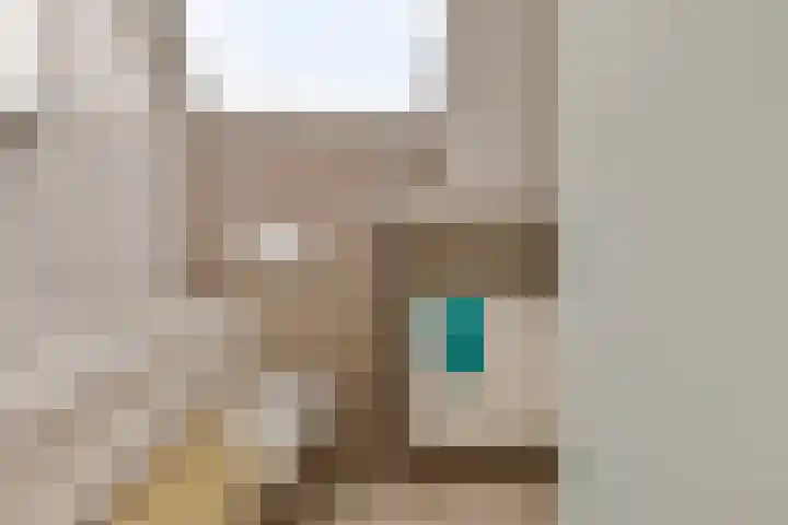 Pastoor Swildensstraat 15 Emmer-Compascuum thumbnail 20
