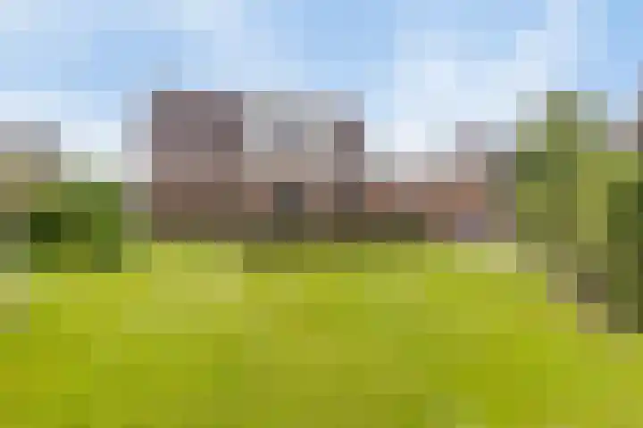 Pastoor Swildensstraat 15 Emmer-Compascuum thumbnail 22
