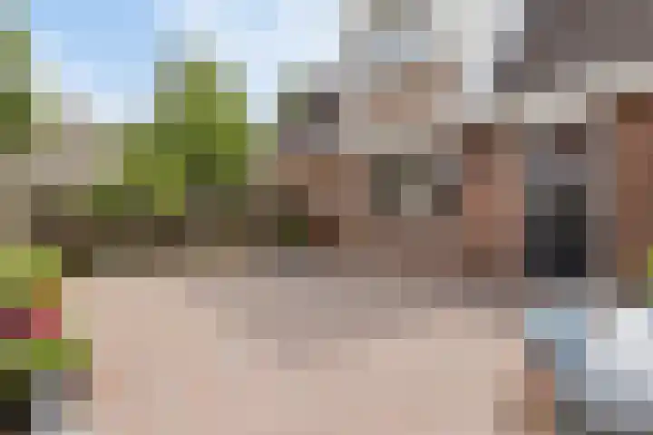 Pastoor Swildensstraat 15 Emmer-Compascuum thumbnail 23