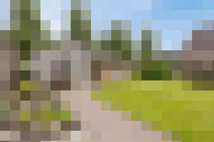 Pastoor Swildensstraat 15 Emmer-Compascuum thumbnail 26