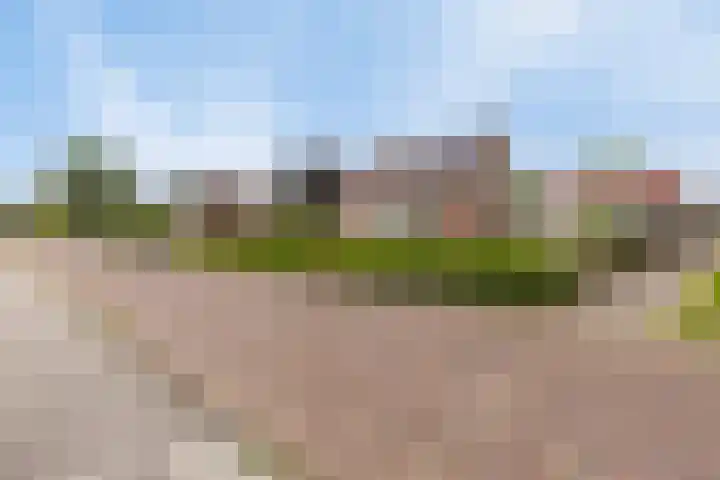 Pastoor Swildensstraat 15 Emmer-Compascuum thumbnail 33