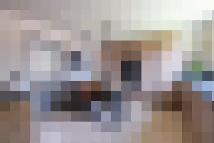 Pastoor te Rielestraat 2 Braamt thumbnail 12