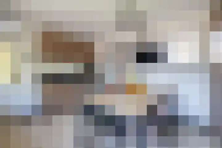 Pastoor te Rielestraat 2 Braamt thumbnail 13