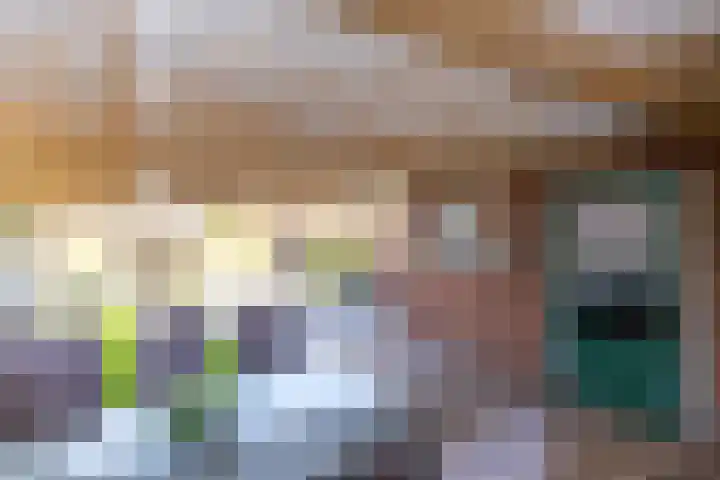 Pastoor te Rielestraat 2 Braamt thumbnail 15
