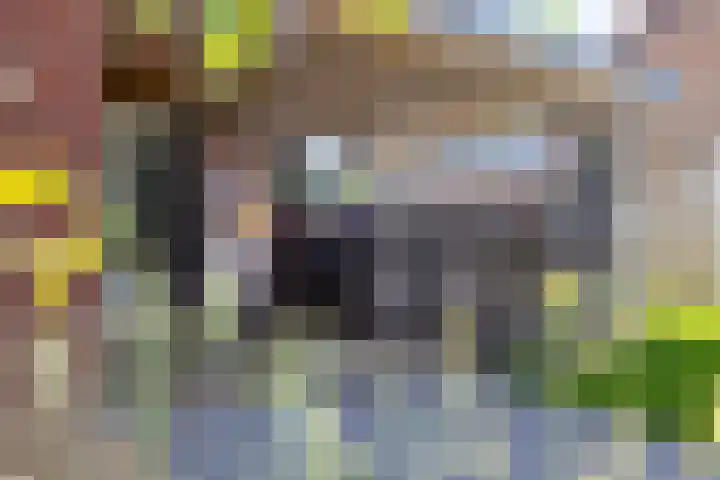 Pastoor te Rielestraat 2 Braamt thumbnail 16