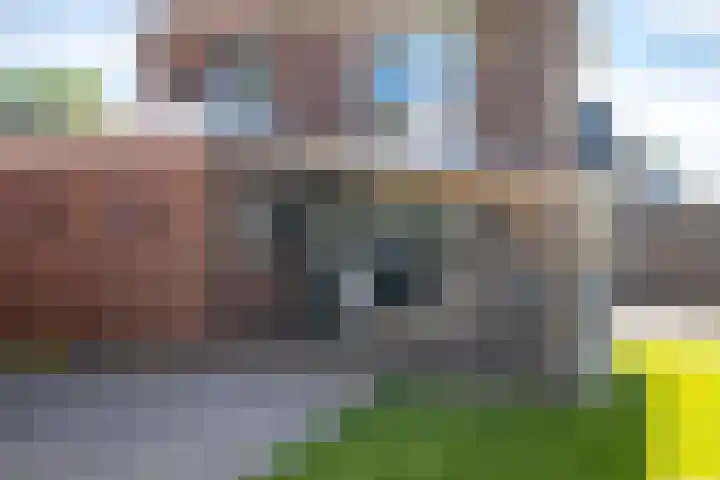 Pastoor te Rielestraat 2 Braamt thumbnail 17