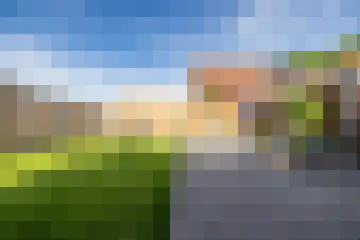 Pastoor te Rielestraat 2 Braamt thumbnail 19