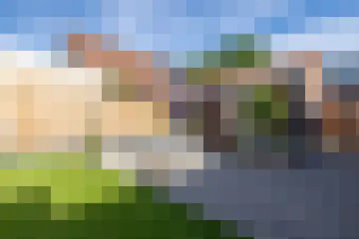 Pastoor te Rielestraat 2 Braamt thumbnail 20