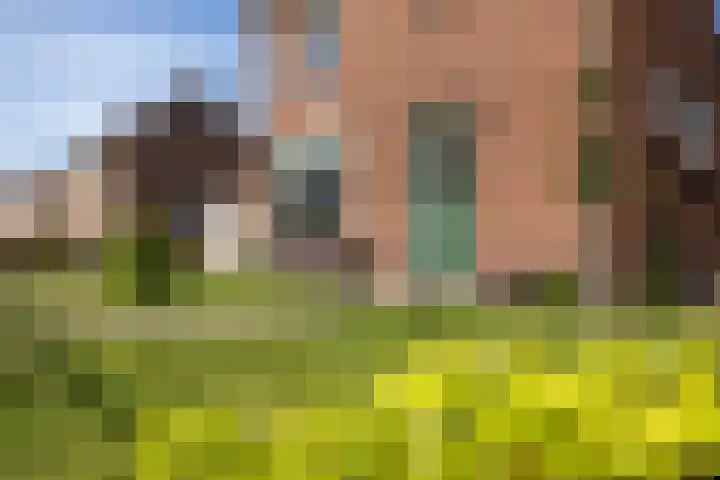 Pastoor te Rielestraat 2 Braamt thumbnail 25