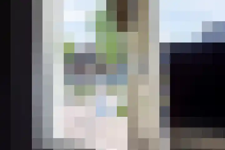 Pastoor te Rielestraat 2 Braamt thumbnail 34