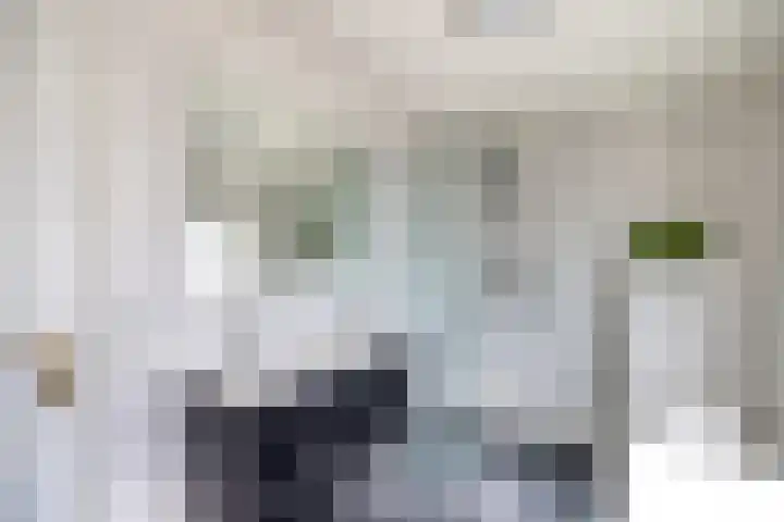 Pastoor te Rielestraat 2 Braamt thumbnail 36