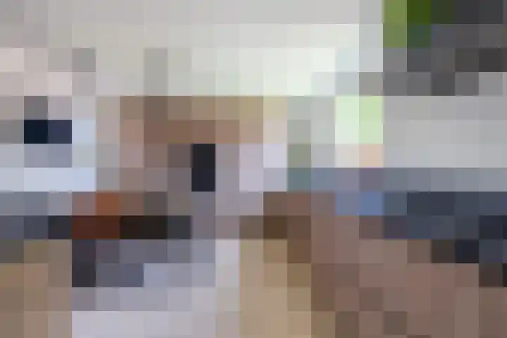 Pastoor te Rielestraat 2 Braamt thumbnail 8
