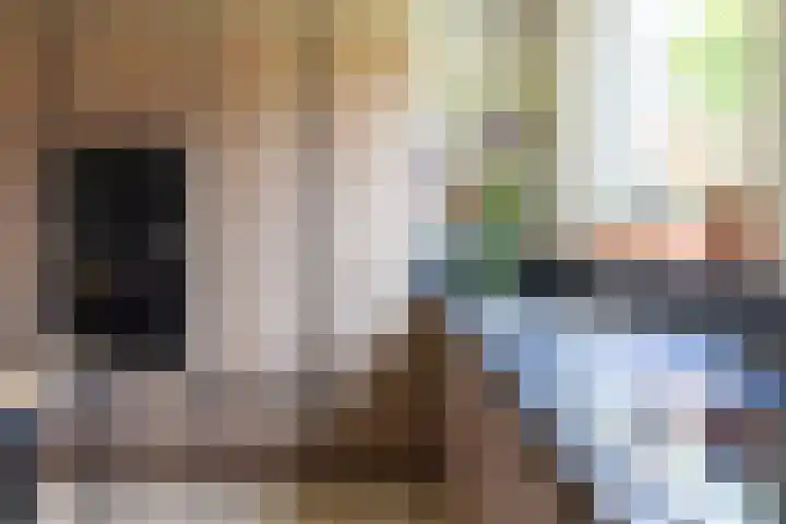 Pastoor te Rielestraat 2 Braamt thumbnail 9