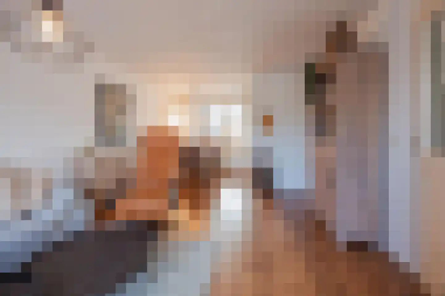 Pastoor Teeuwenstraat 16 Melderslo thumbnail 11