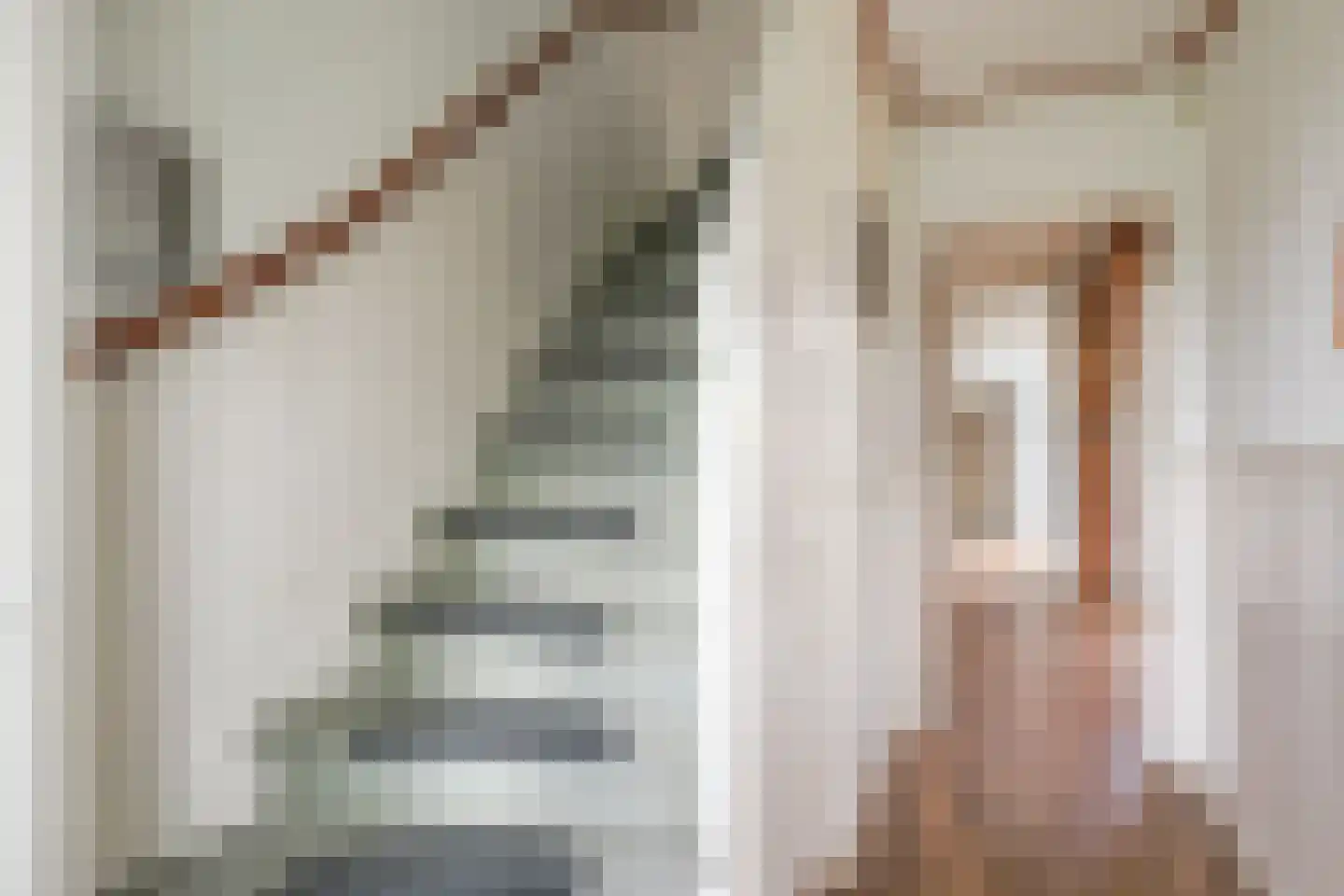 Pastoor Tetterodestraat 6 De Weere thumbnail 19