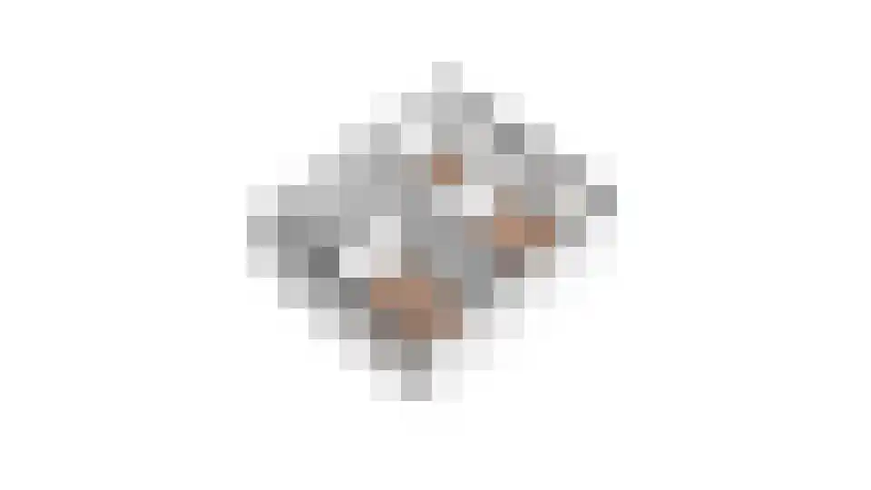 Pastoor Tetterodestraat 6 De Weere thumbnail 22