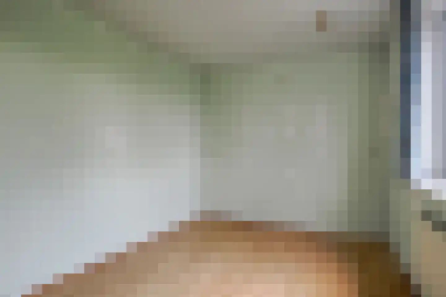 Pastoor Tetterodestraat 6 De Weere thumbnail 30