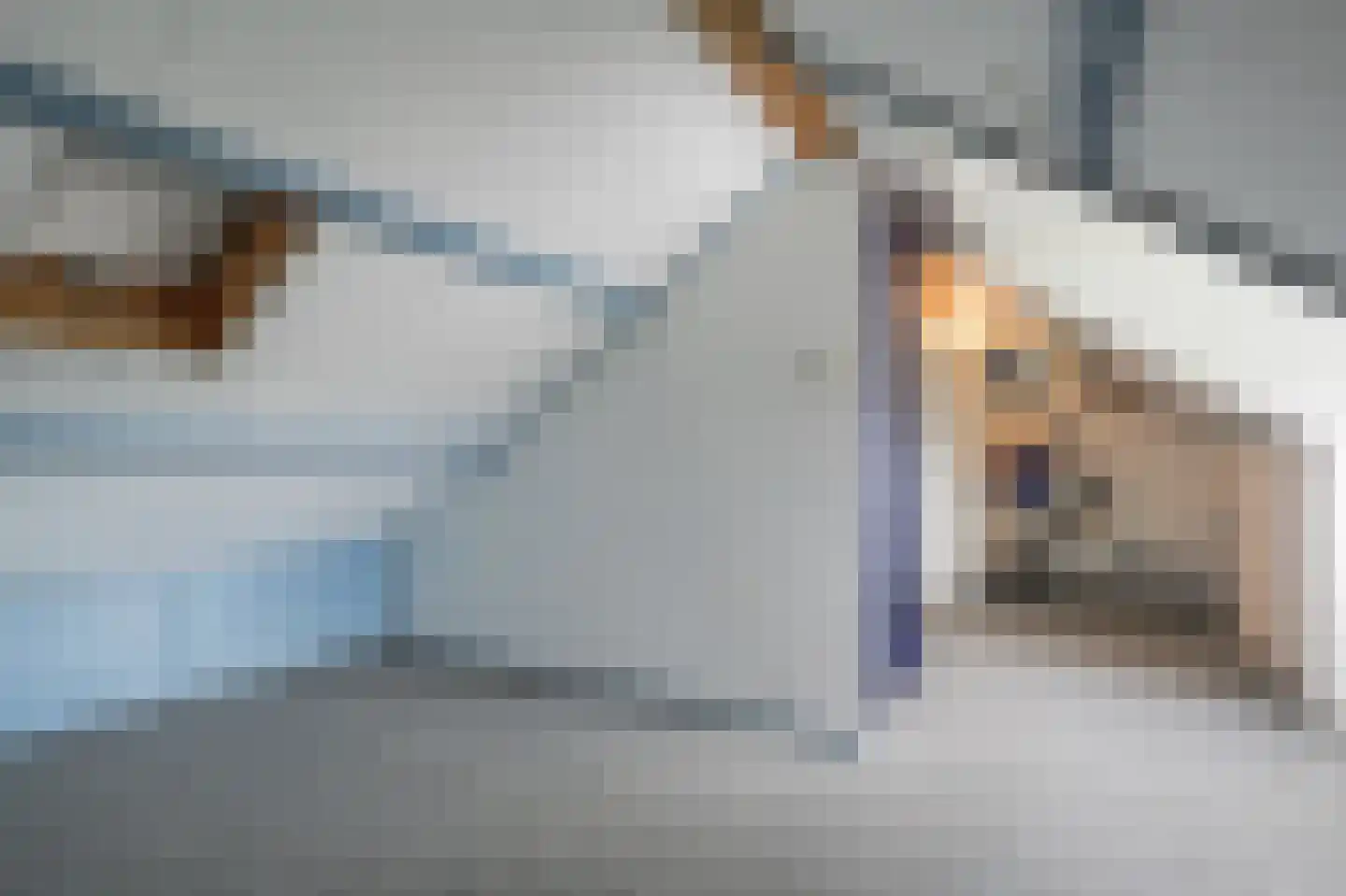 Pastoor Tetterodestraat 6 De Weere thumbnail 41