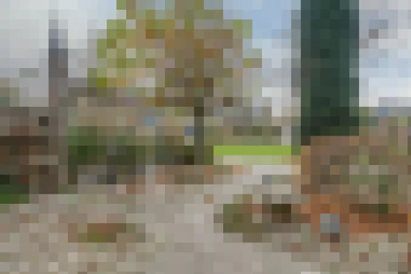 Pastoor Tetterodestraat 6 De Weere thumbnail 47
