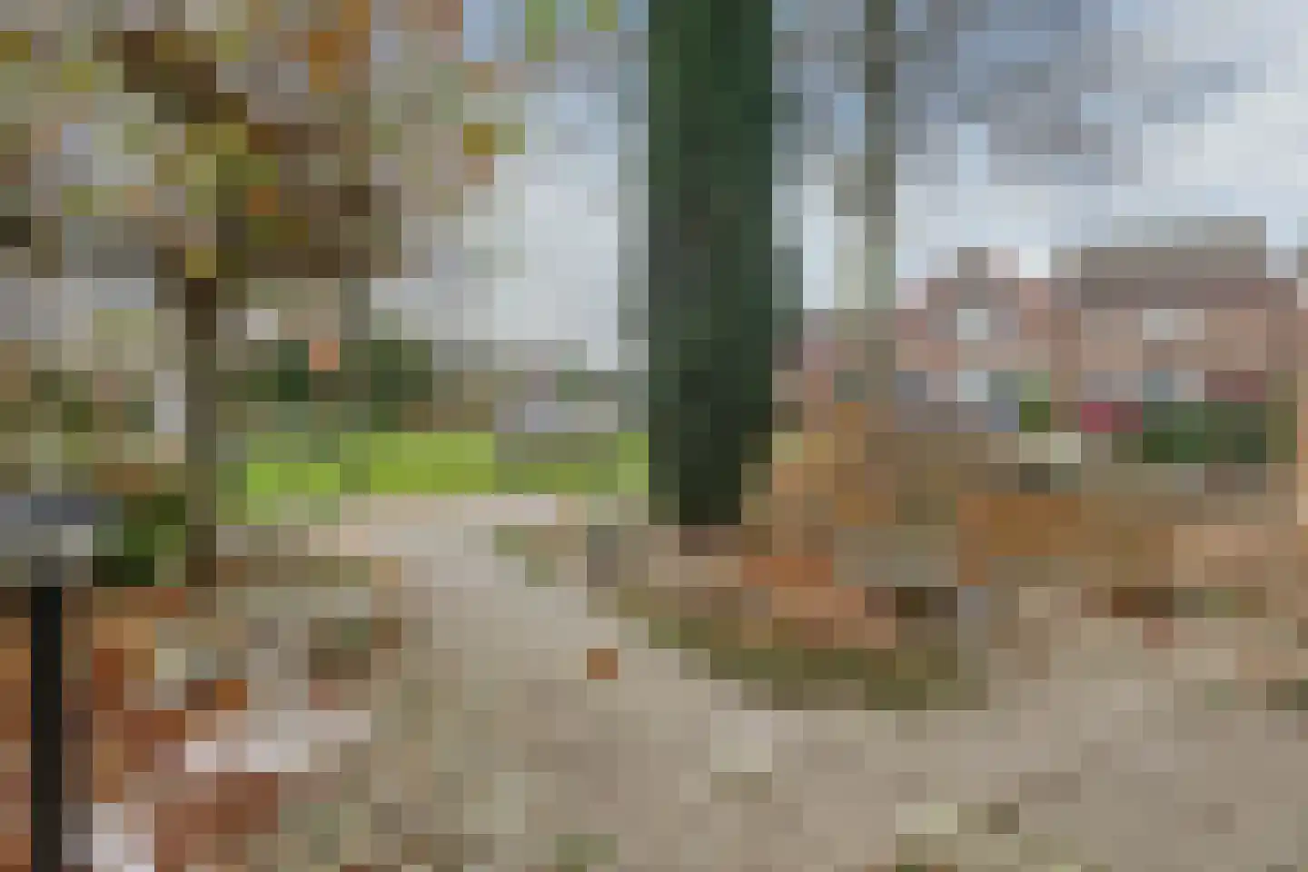 Pastoor Tetterodestraat 6 De Weere thumbnail 48