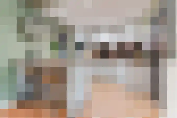 Pastoor Teurlingsstraat 42 Sint-Oedenrode foto 3