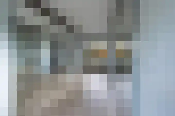 Pastoor Theelenstraat 7 Kerkrade thumbnail 24