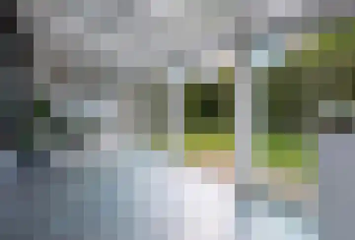 Pastoor Theelenstraat 7 Kerkrade thumbnail 30