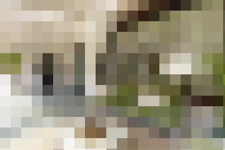 Pastoor Theelenstraat 7 Kerkrade thumbnail 32